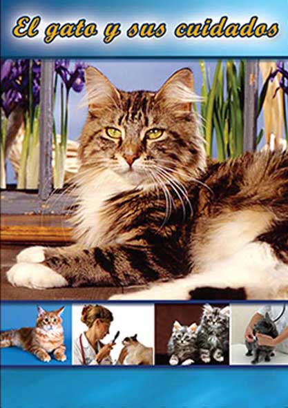 El gato y sus cuidados (Libro)